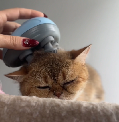 The Cat & Dog Massager