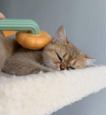 Our Cat And Dog Hair Brush