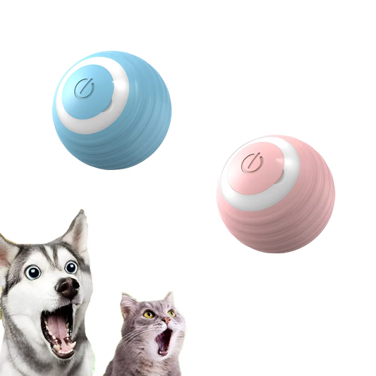 The Cat & Dog Magic Roller Ball