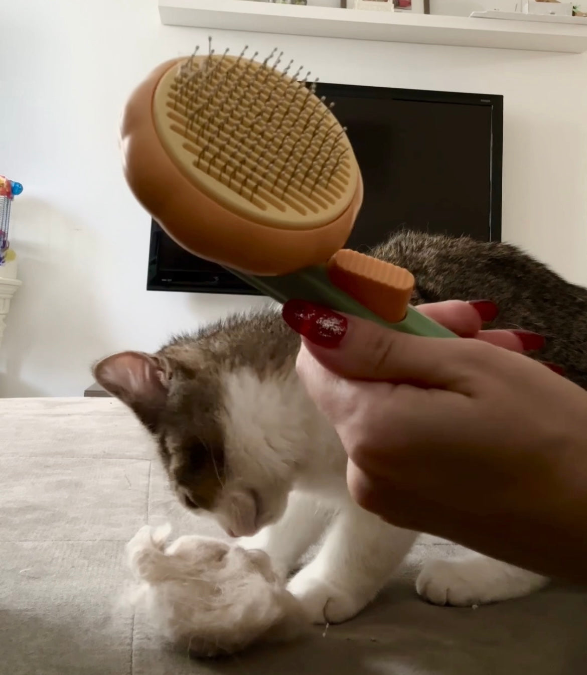 Our Cat And Dog Hair Brush