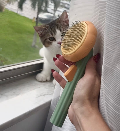 Our Cat And Dog Hair Brush