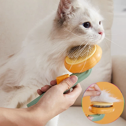 Our Cat And Dog Hair Brush